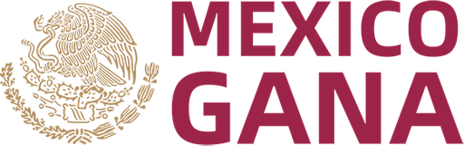 mexicoganacasino.net Logo